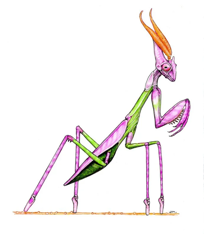 Pink Empusa Mantis In Ballet Toe Shoes 2/24/2026