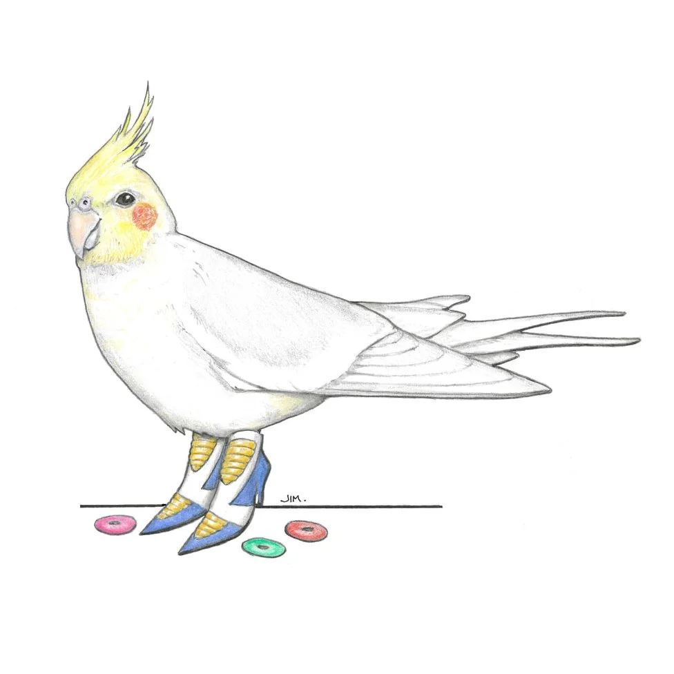 Cockatoo In Creeper Sneakers 6/27/2020
