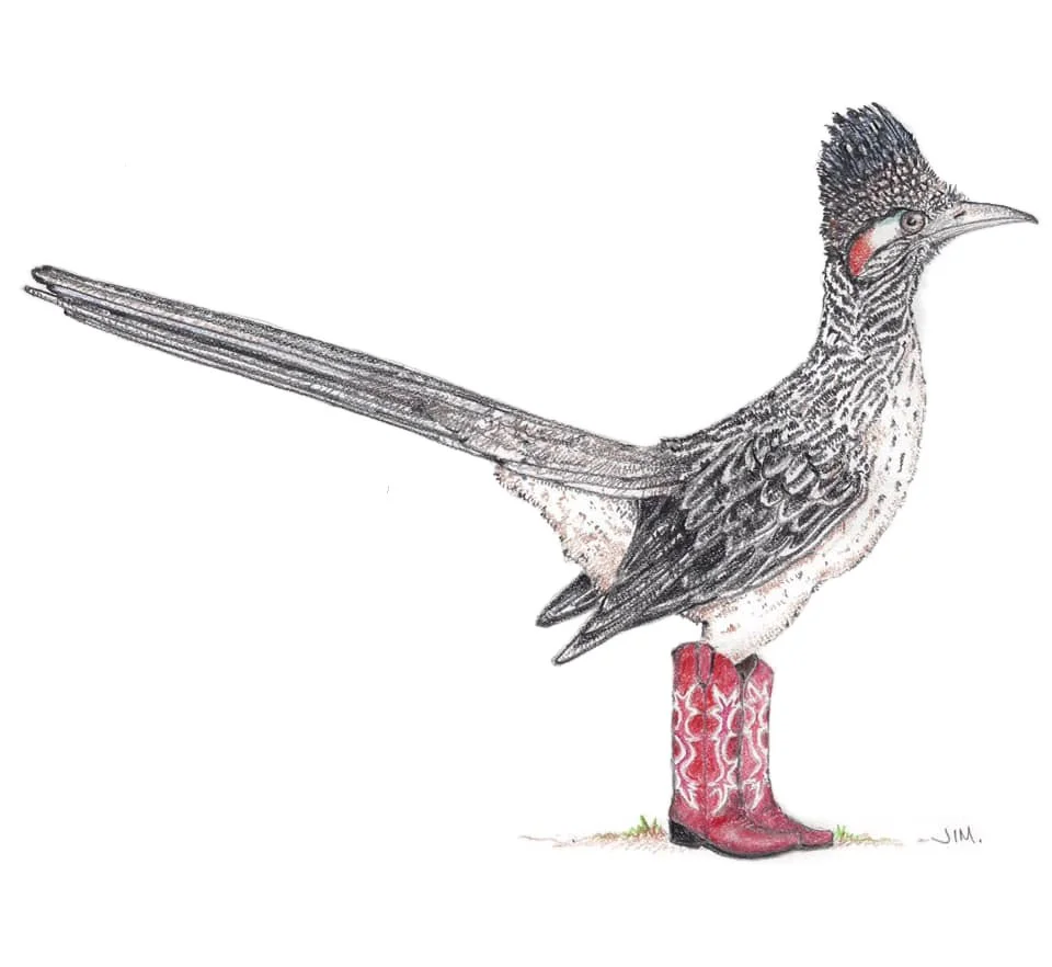 Roadrunner In Red Cowboy Boots 2/7/2020