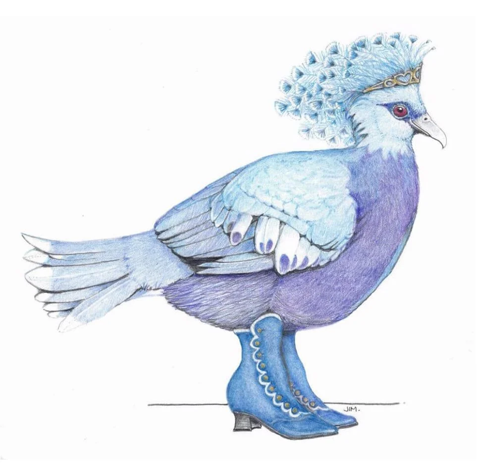 Victorian Crowned Pigeon 3/19/2021