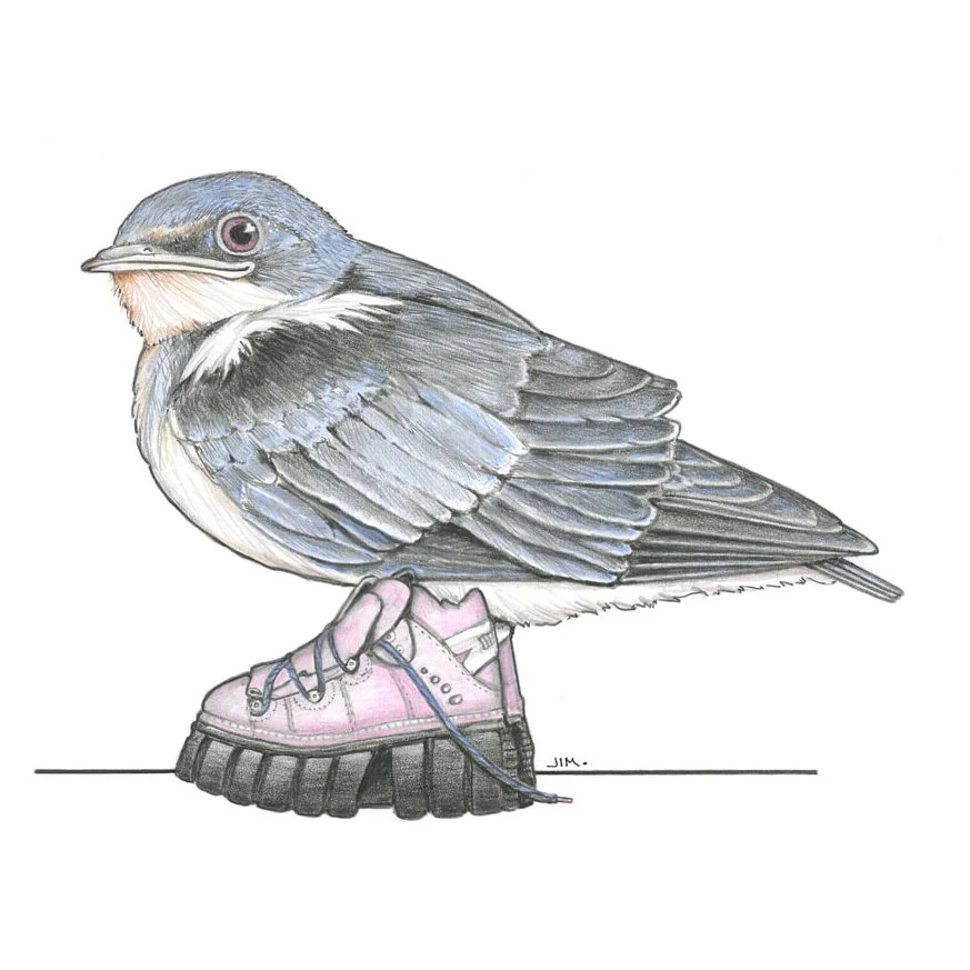Swallow Fledgling In Chunky Platform Boots 12/30/2023
