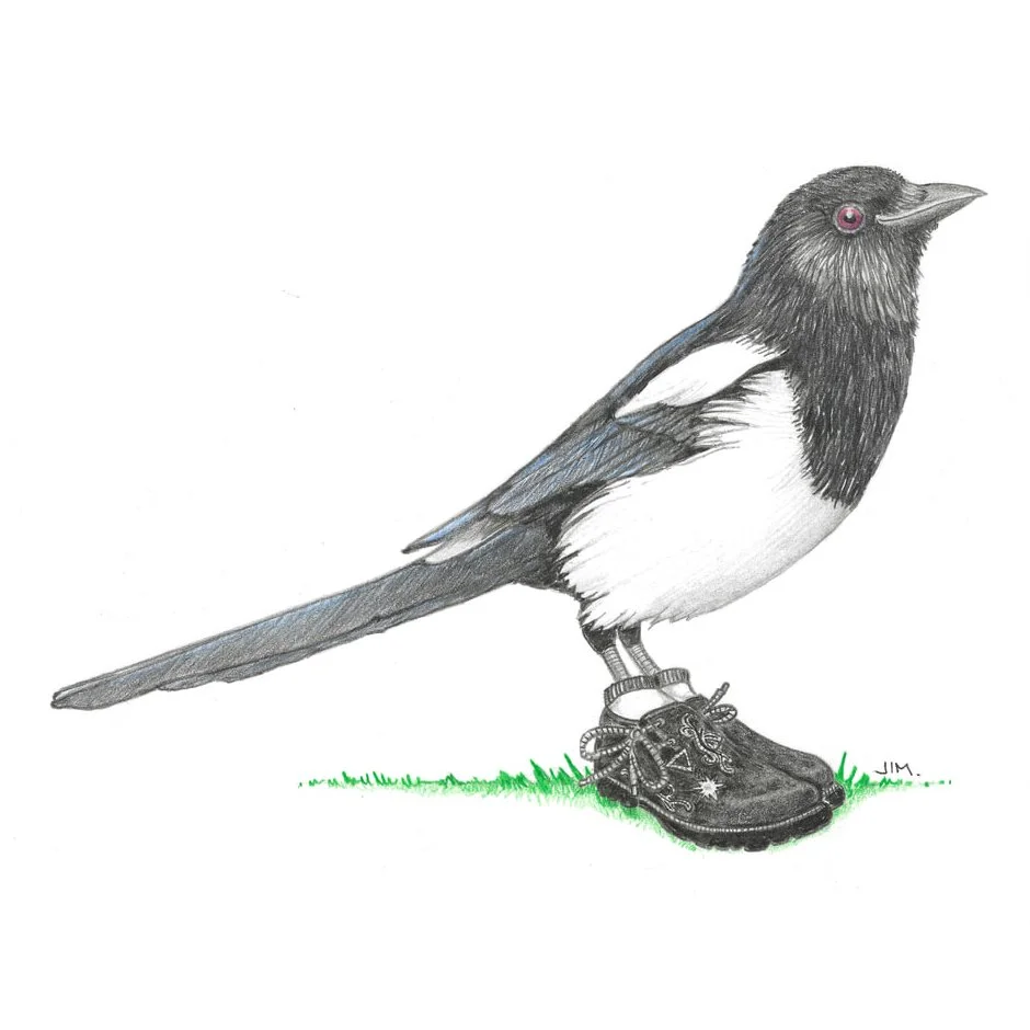 Magpie In Bavarian Shoes 12/26/2022