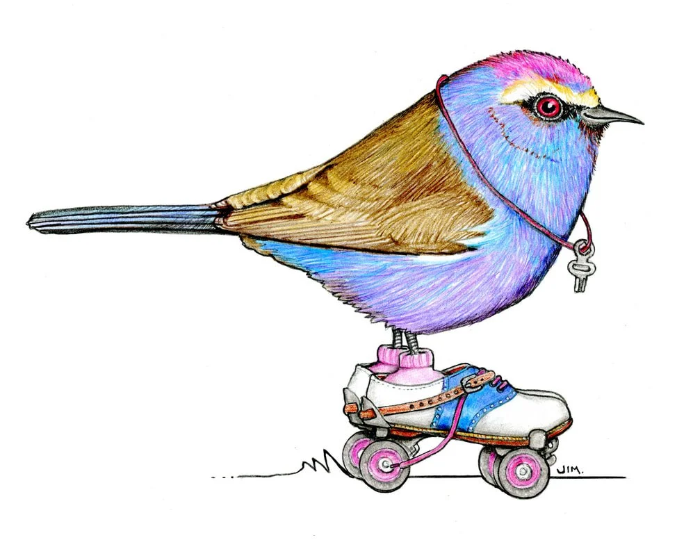 White Browed Tit Warbler on Vintage Metal Roller Skates 4/23/2026