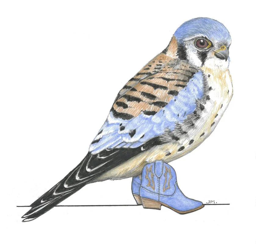 Kestrel In Short Cowboy Boots 9/26/2023
