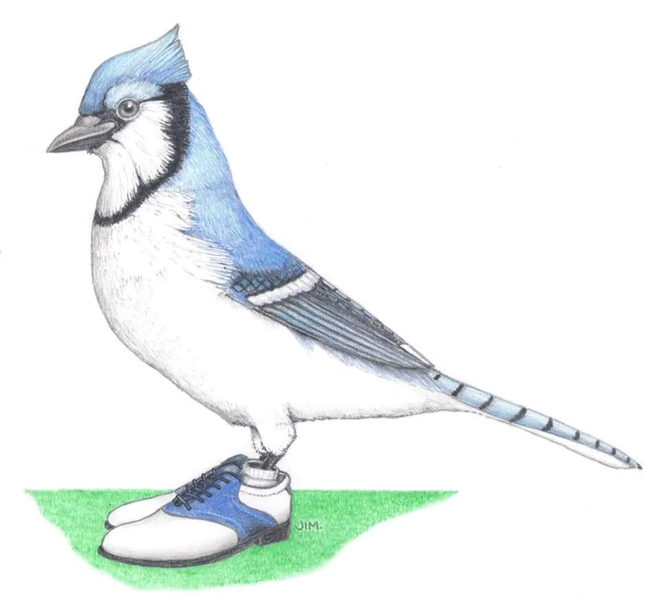 Blue Jay In Golf Shoes 10/8/2020