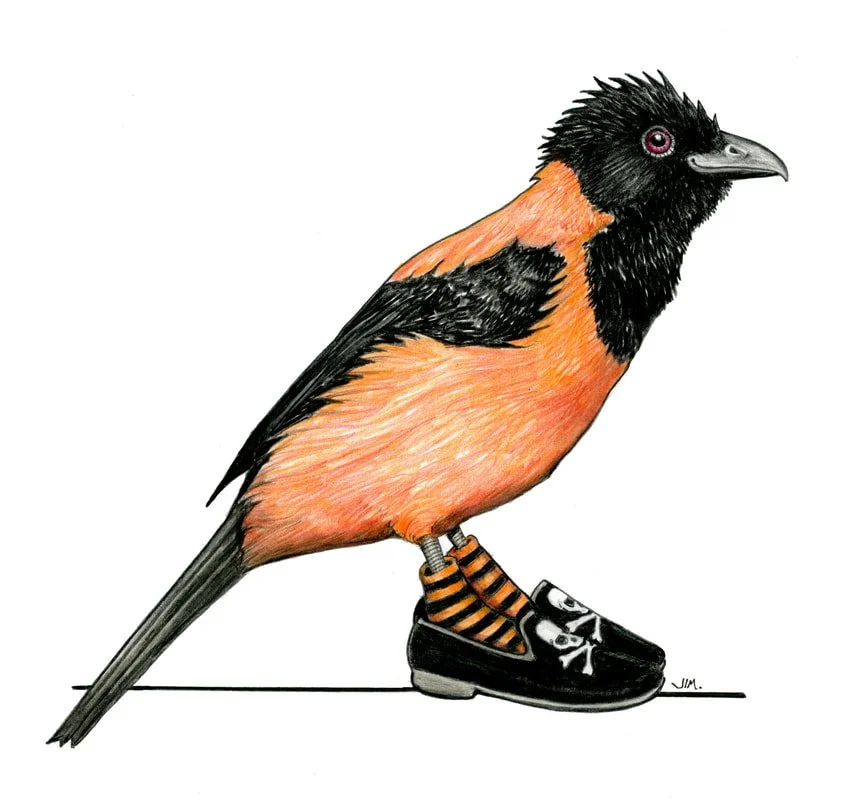 Hooded Pitohui In Skull And Crossbones Shoes 10/5/2025