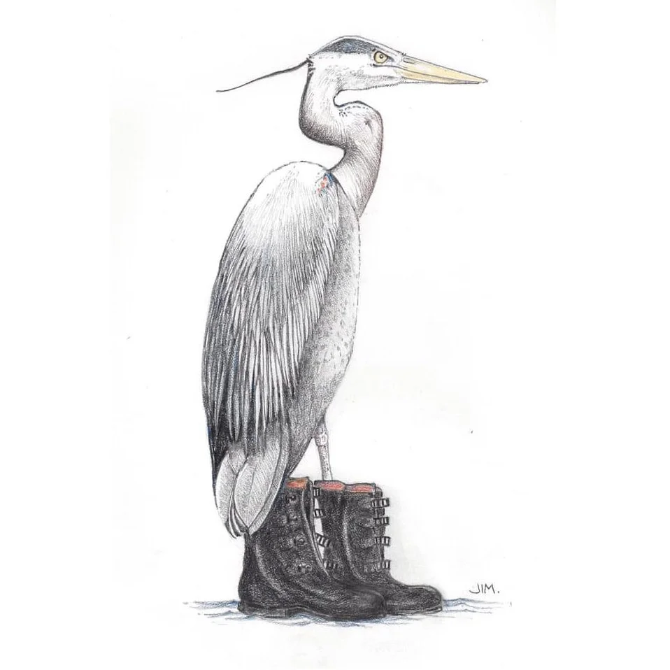 Great Blue Heron in Galoshes 4/10/2020