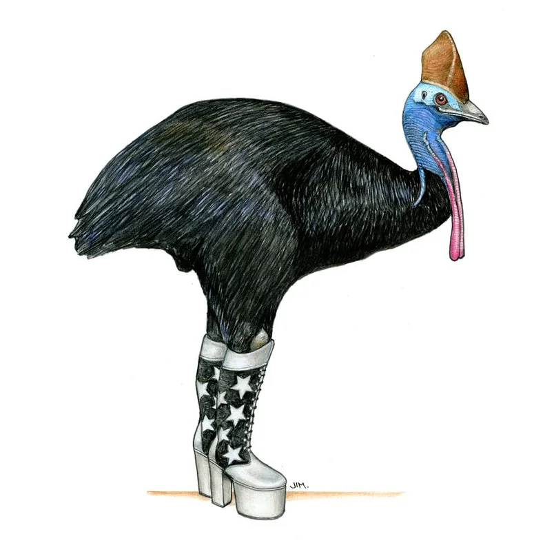 Cassowary In Kiss Boots 5/25/2025