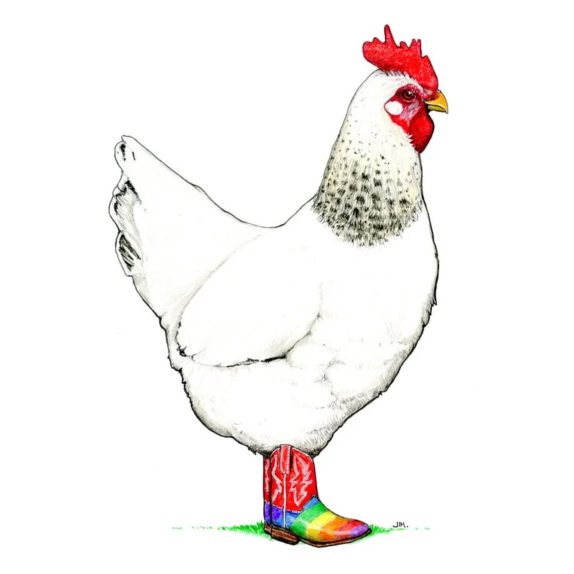 Delaware Hen In Rainbow Cowgirl Boots 8/5/2025