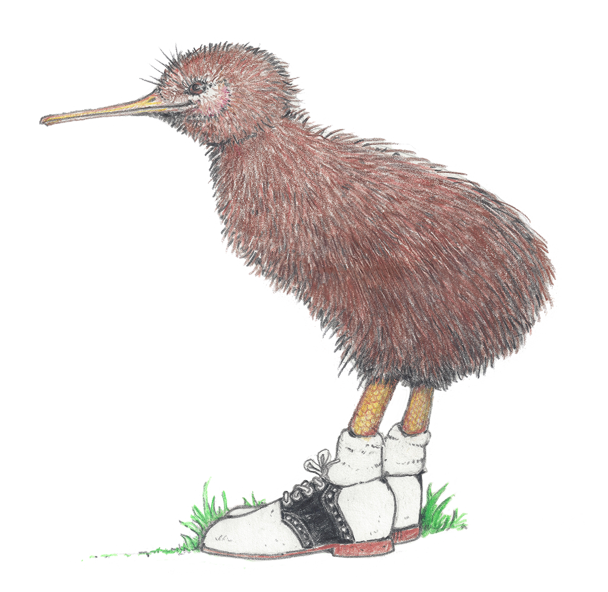 Kiwi In Saddle Shoes 11/18/2019