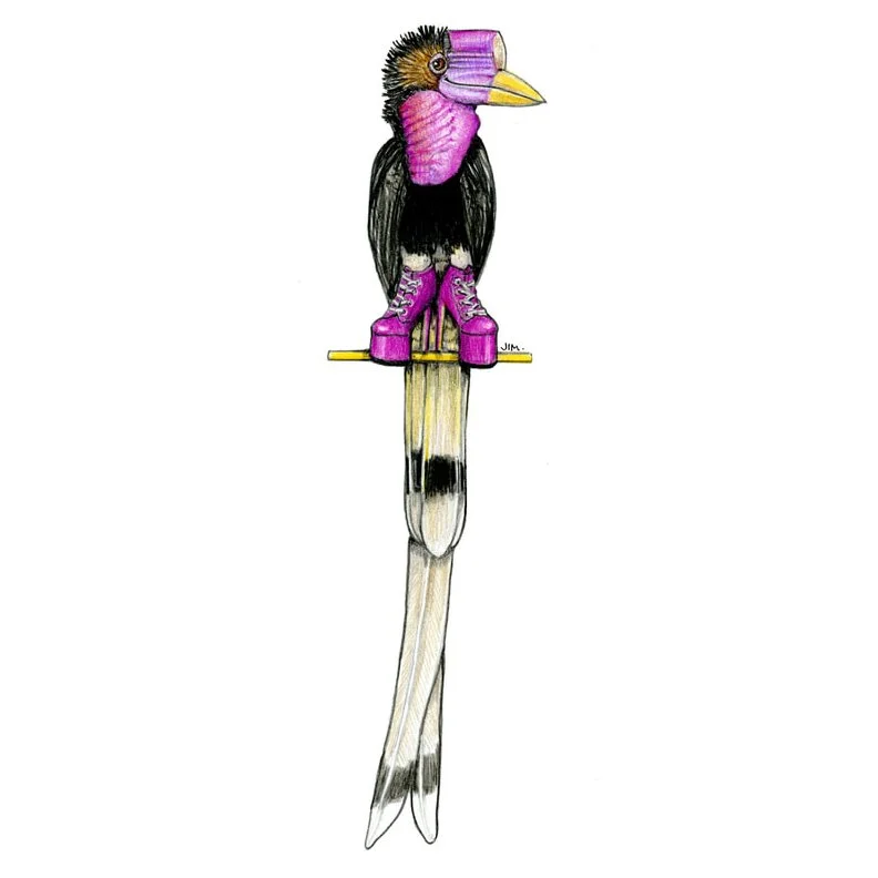 Helmeted Hornbill in High Heeled Boots 30 May 2026