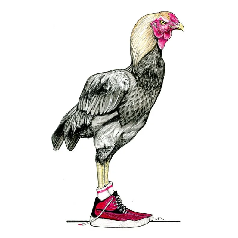Indio Gigante Chicken In Basketball Shoes 9/13/2025
