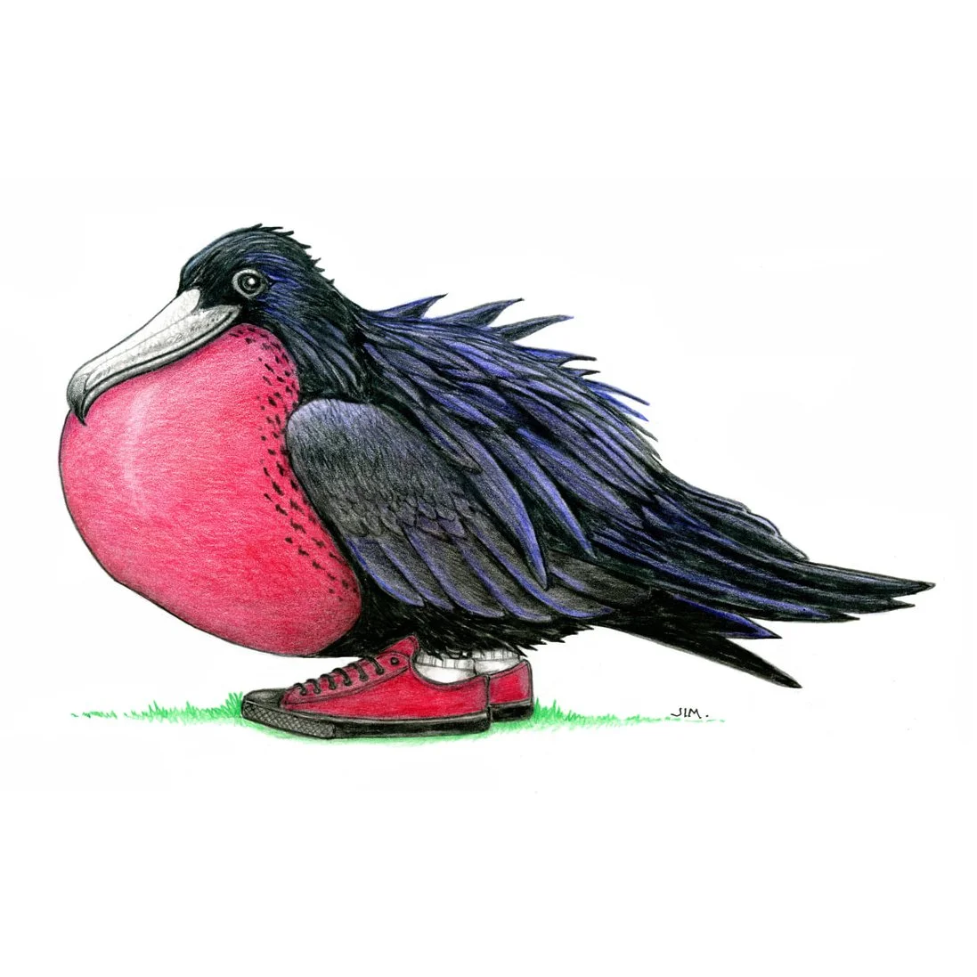 Frigate Bird In High Heels 6/12/2024