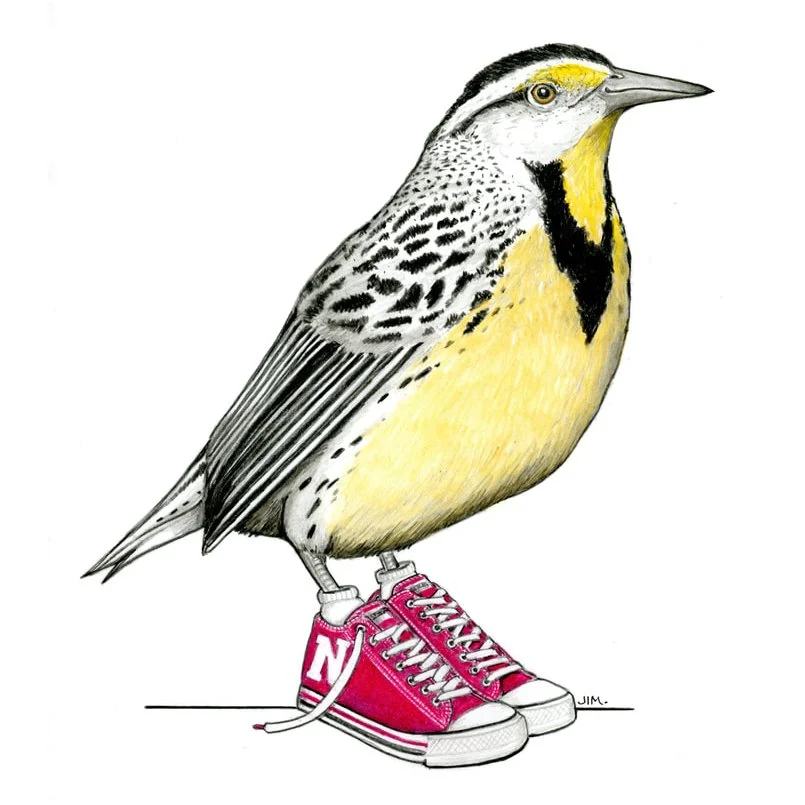 Meadowlark In Low Top Sneakers 1/8/2025