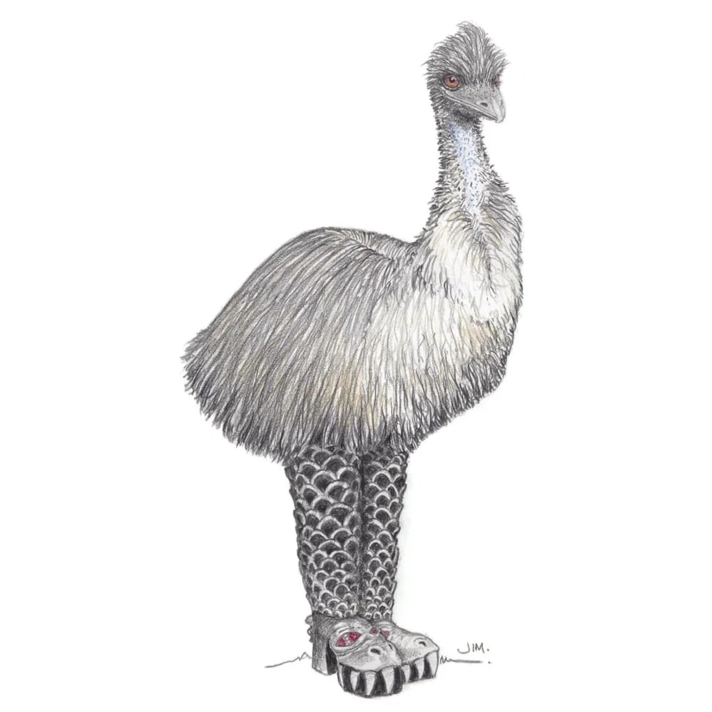 Emu In Kiss Boots 4/15/2020