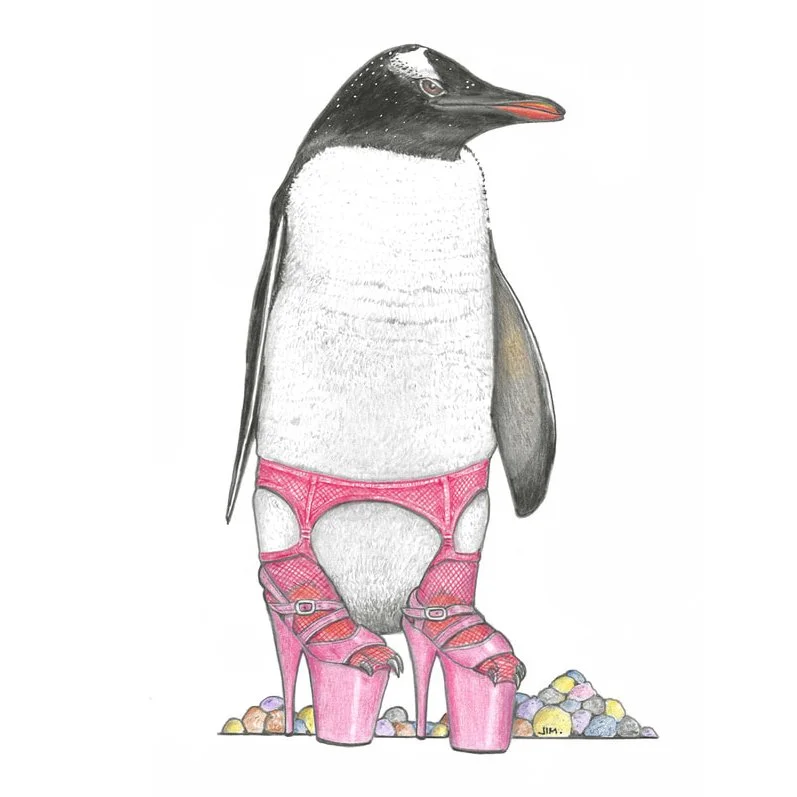 Gentoo Penguin In Heels 3/21/2024