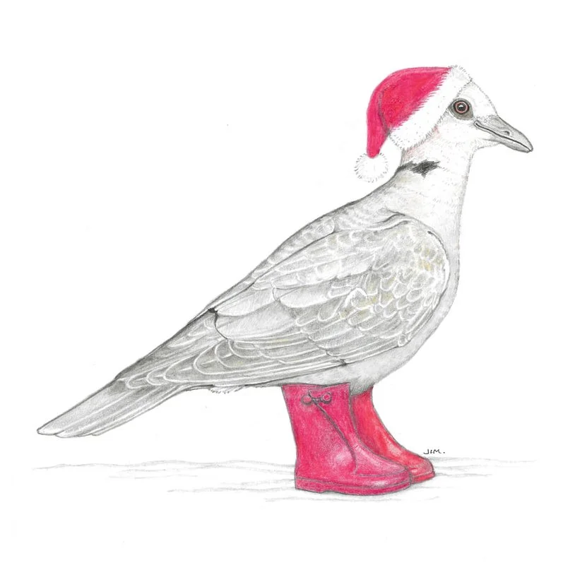 Laughing Dove In Vintage Snow Boots 12/24/2021