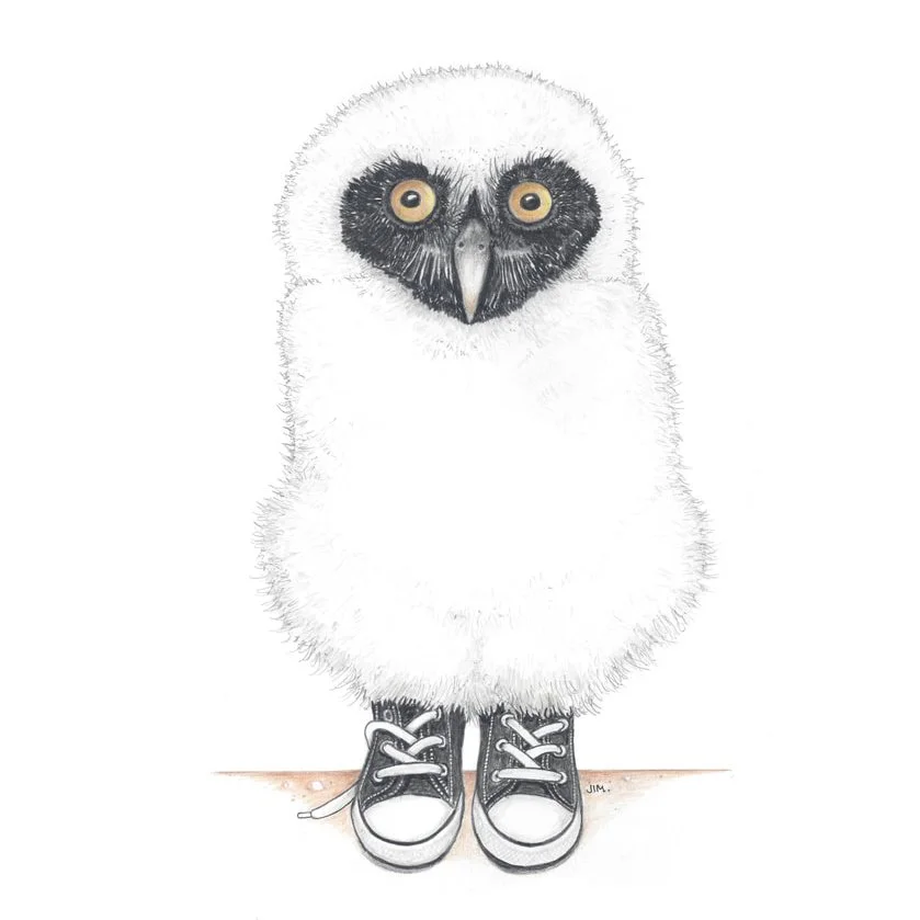 Spectacled Owl Chick In Low Tops 5/29/2021