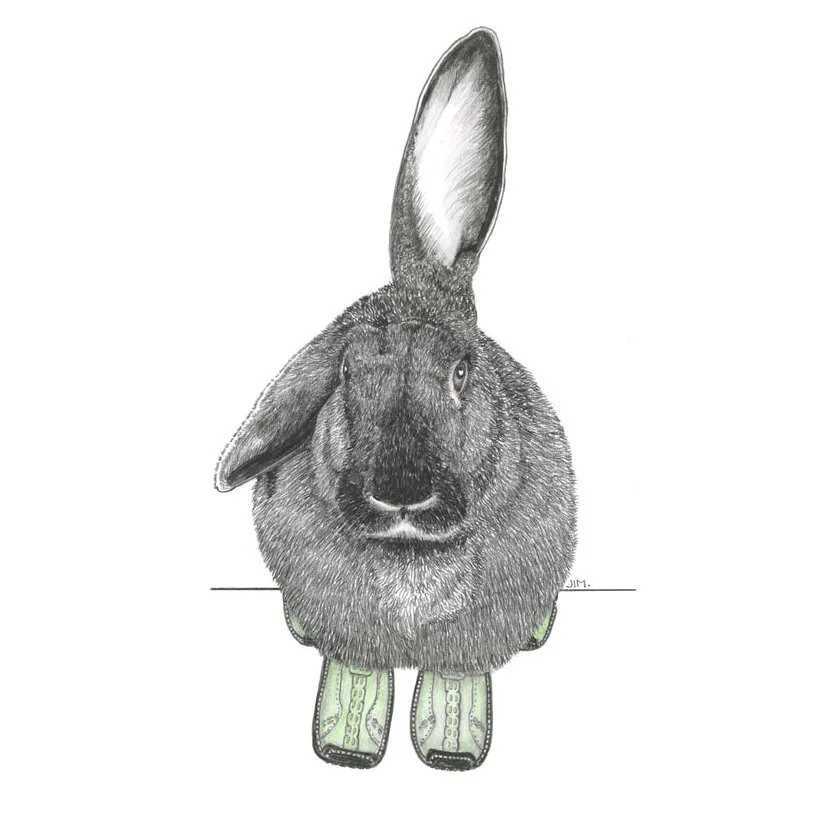 Spooks The Bunny In Flemish Walkers 6/30/2023