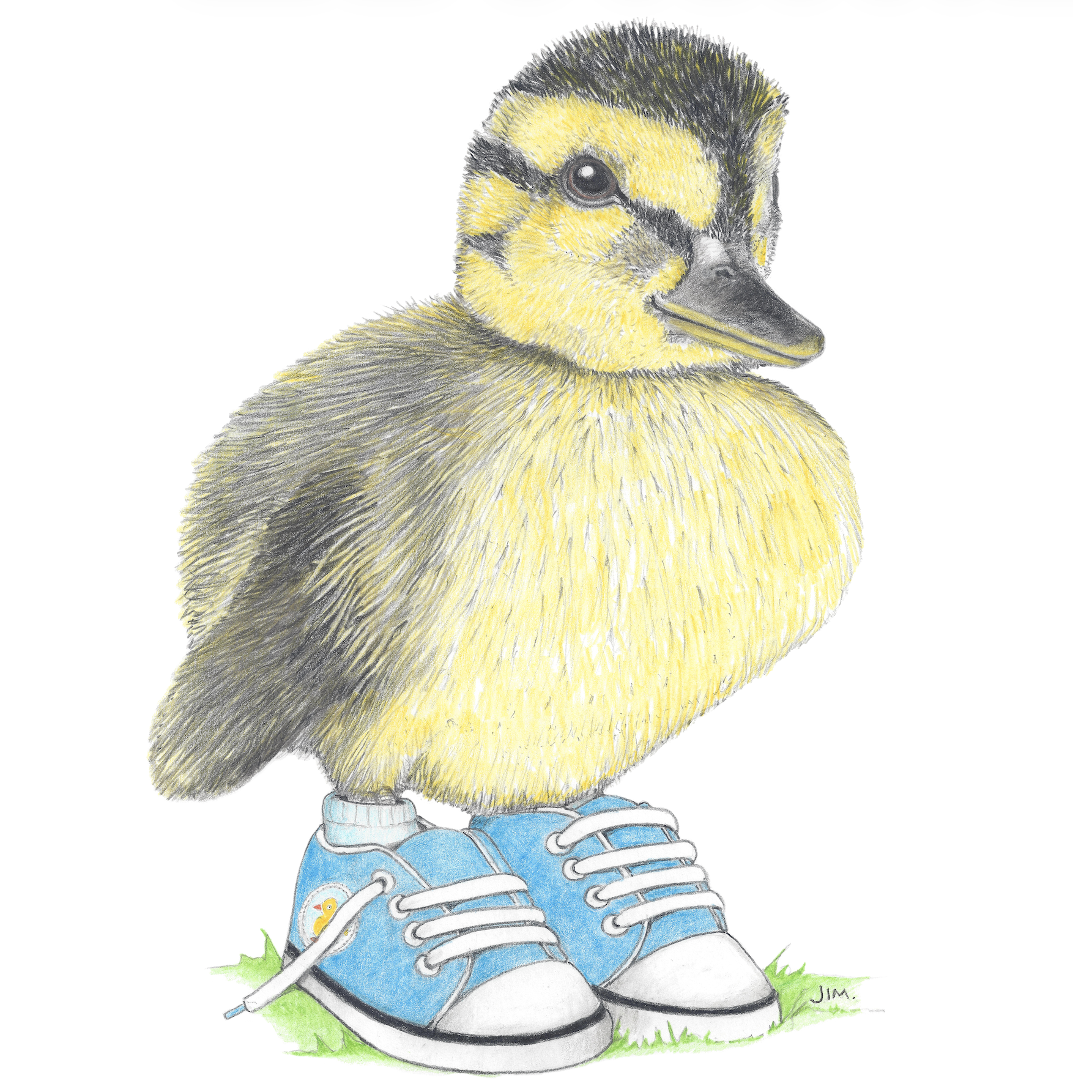 Duckling In Blue Hightops 11/30/2020