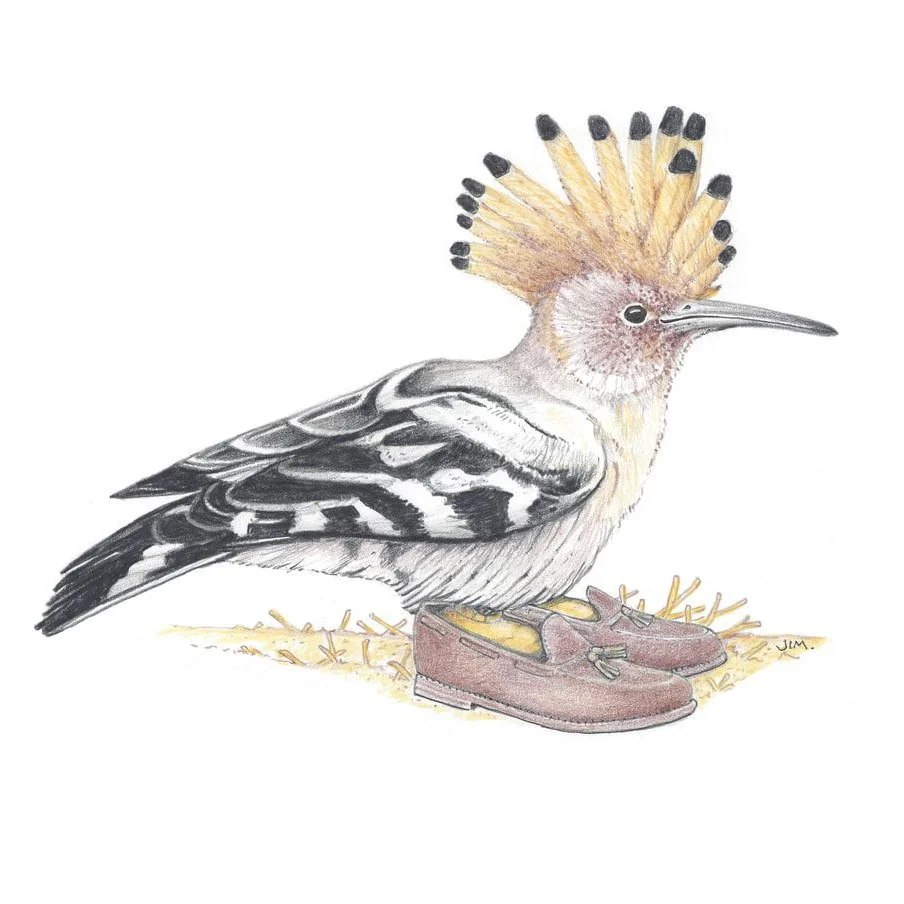 Hoopoe In Tasseled Loafers 5/7/2021