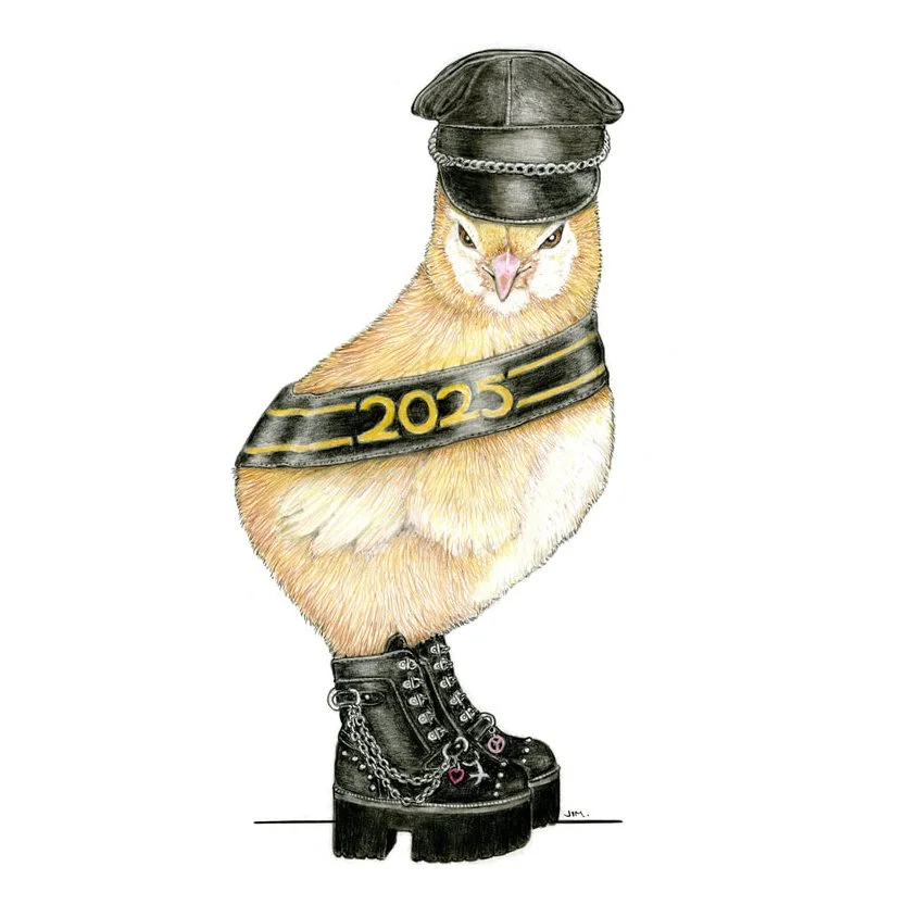 Chick In Punk Boots 12/28/2024