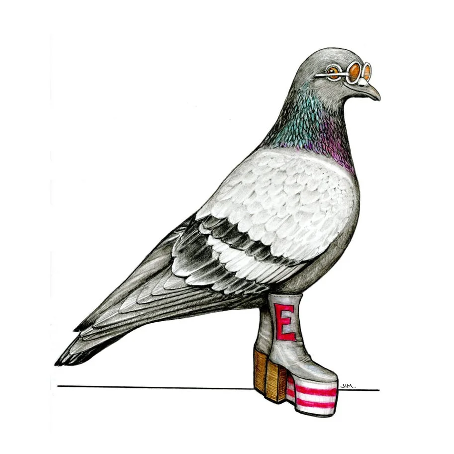 Feral Pigeon In Elton John Boots 10/21/2024