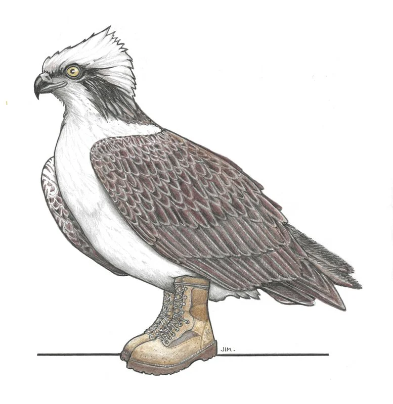 Osprey In Danner Marine Expeditionary Boots 1/25/2024