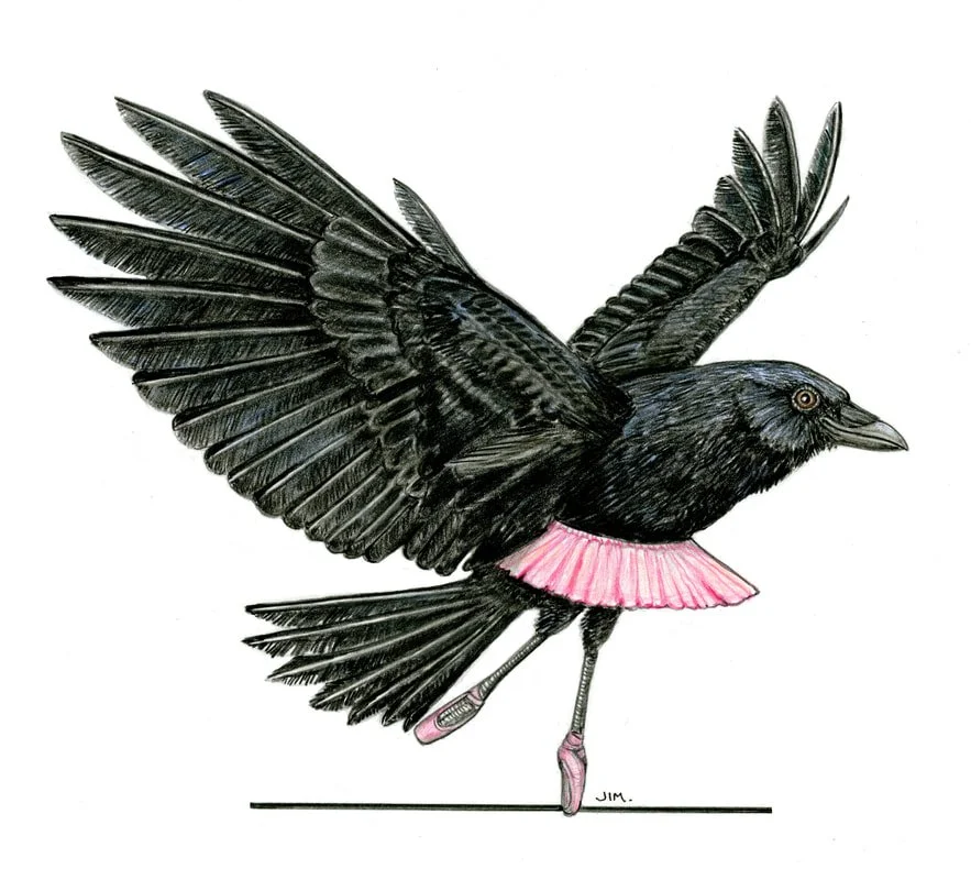 Raven In Pointe Shoes 3/6/2025