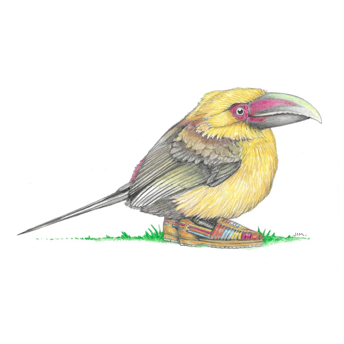 Saffron Toucanet In Huaraches 6/10/2022