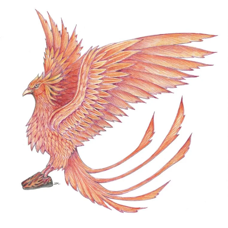 Phoenix In Flame Sneakers 12/30/2022