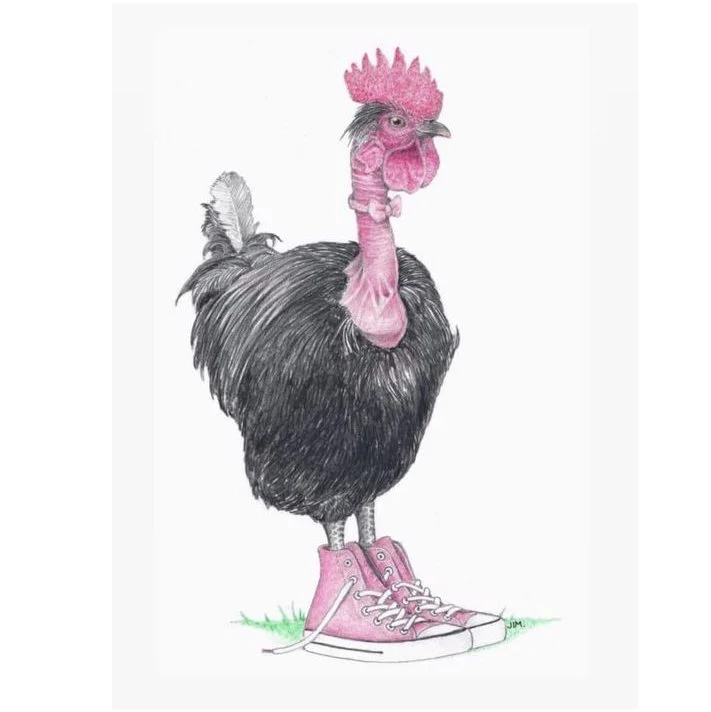 Naked Neck Chicken In High Tops 2/27/2021