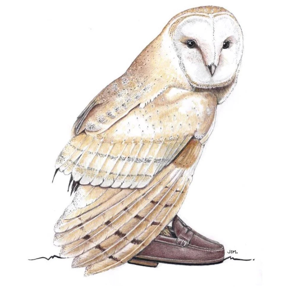 Barn Owl In Penny Loafers 10/14/2020