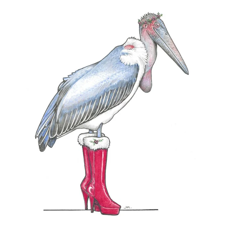 Marabou Stork in Festive Footwear 12/15/2023