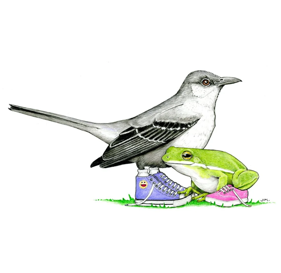 Mockingbird And Frog In Sneakers 1/13/2025