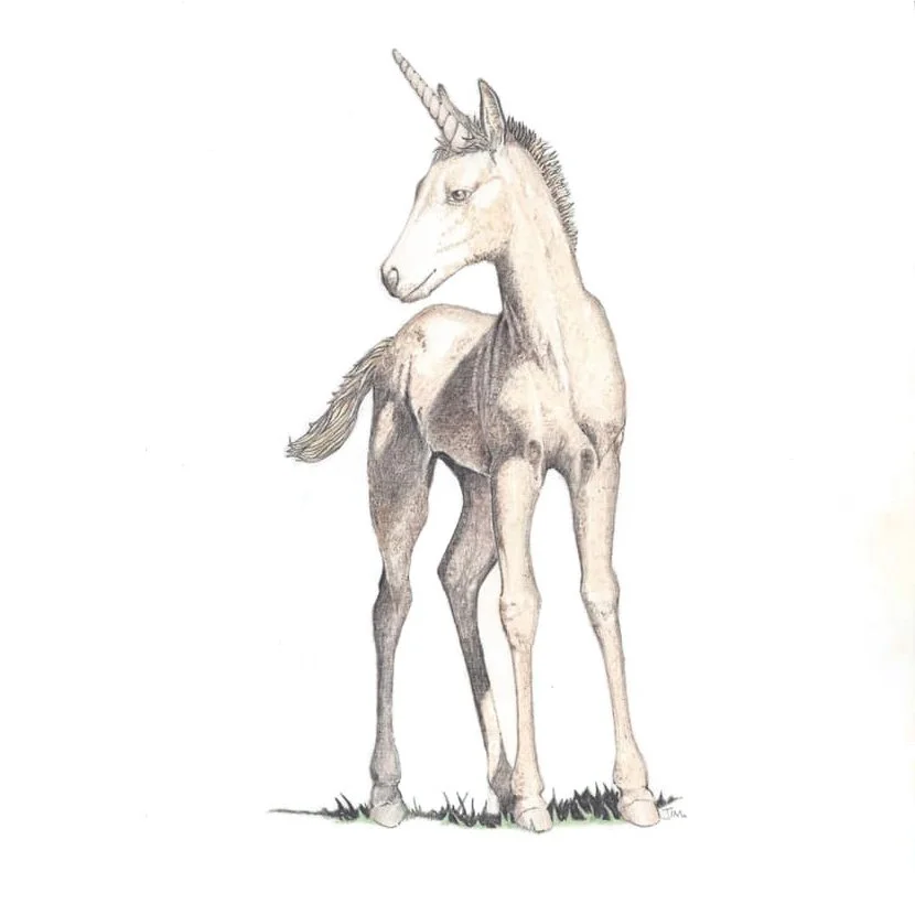 Unicorn Colt