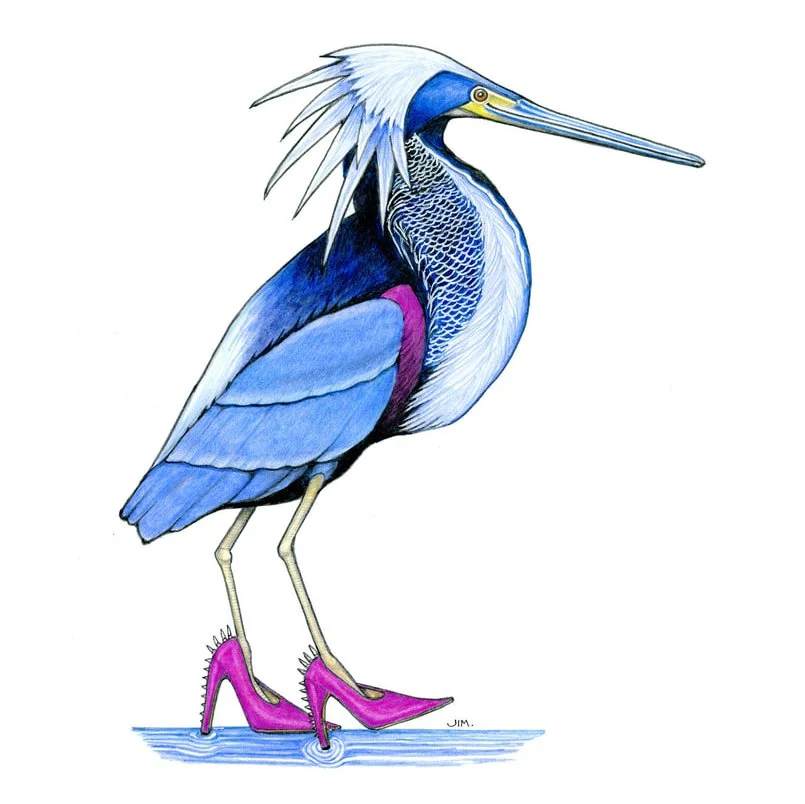 Agami Heron In Pointy High Heels 6/2/2025