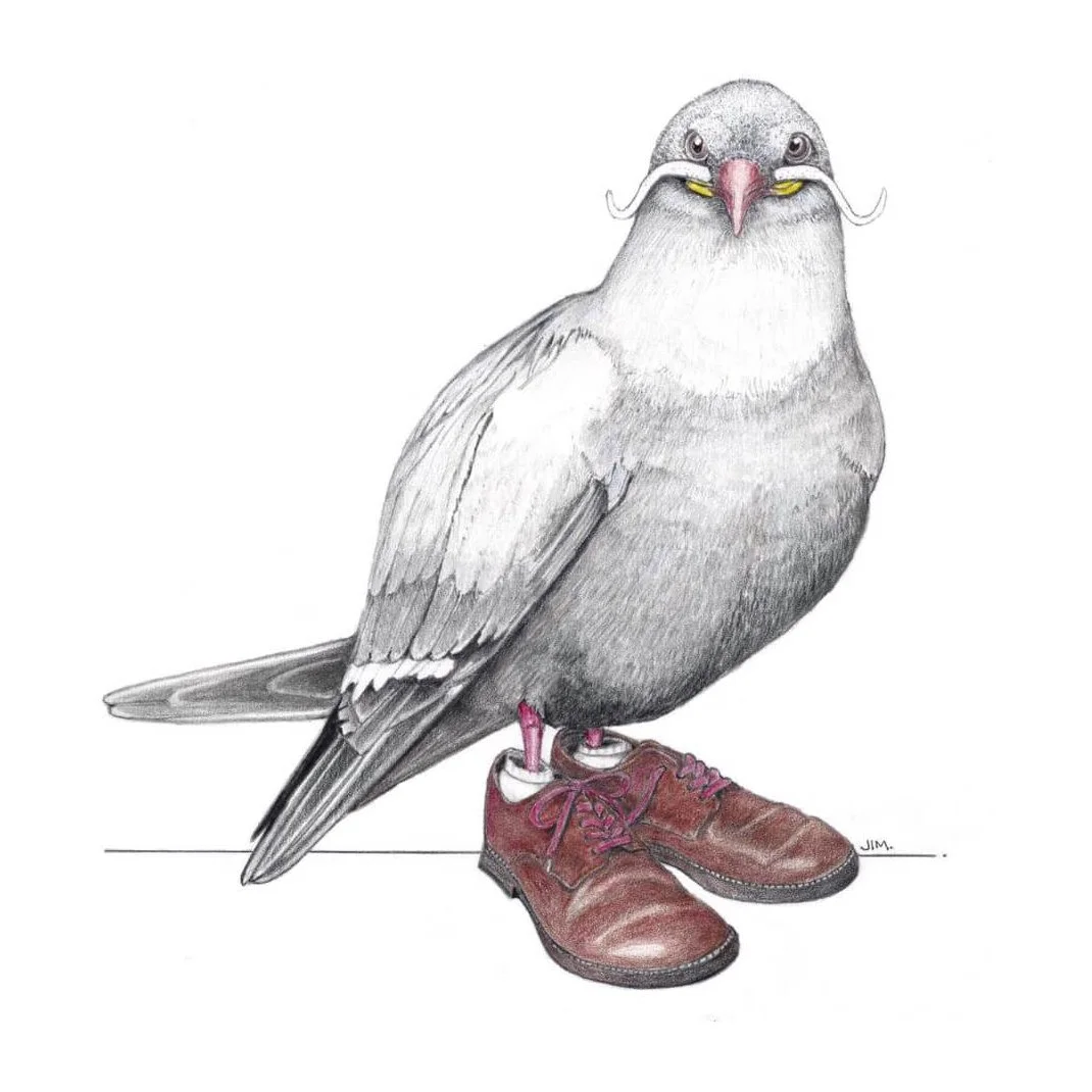 Inca Tern In Derby Shoes 2/17/2021