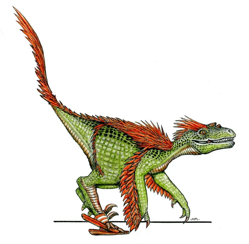 Velociraptor In Slide Sandals 2/16/2025