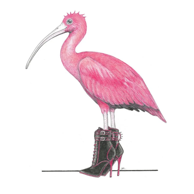 Scarlet Ibis In Dangerous Shoes 5/27/2022