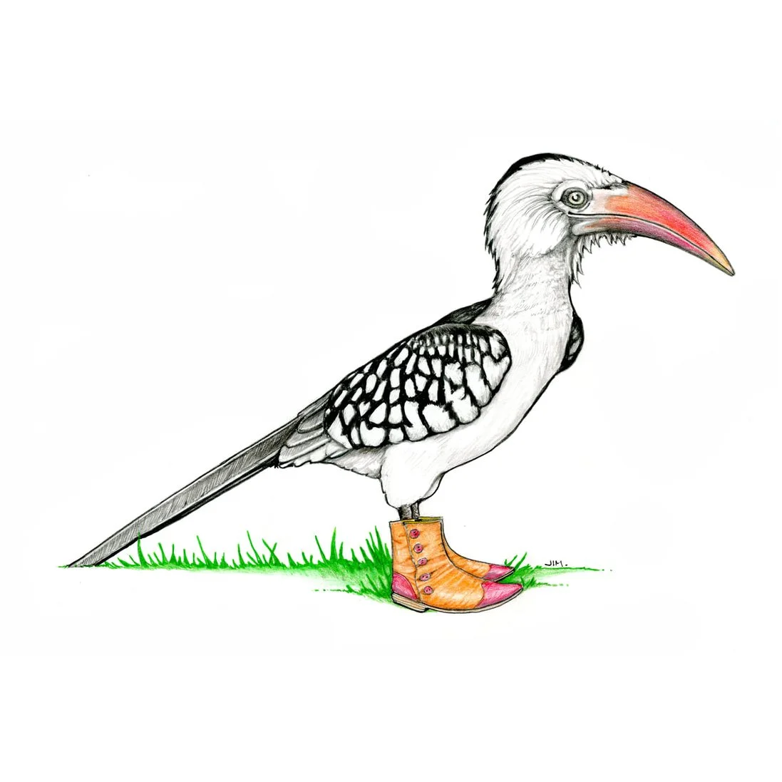 Red-Billed Hornbill In Lion King Performance Shoes 4/11/2024