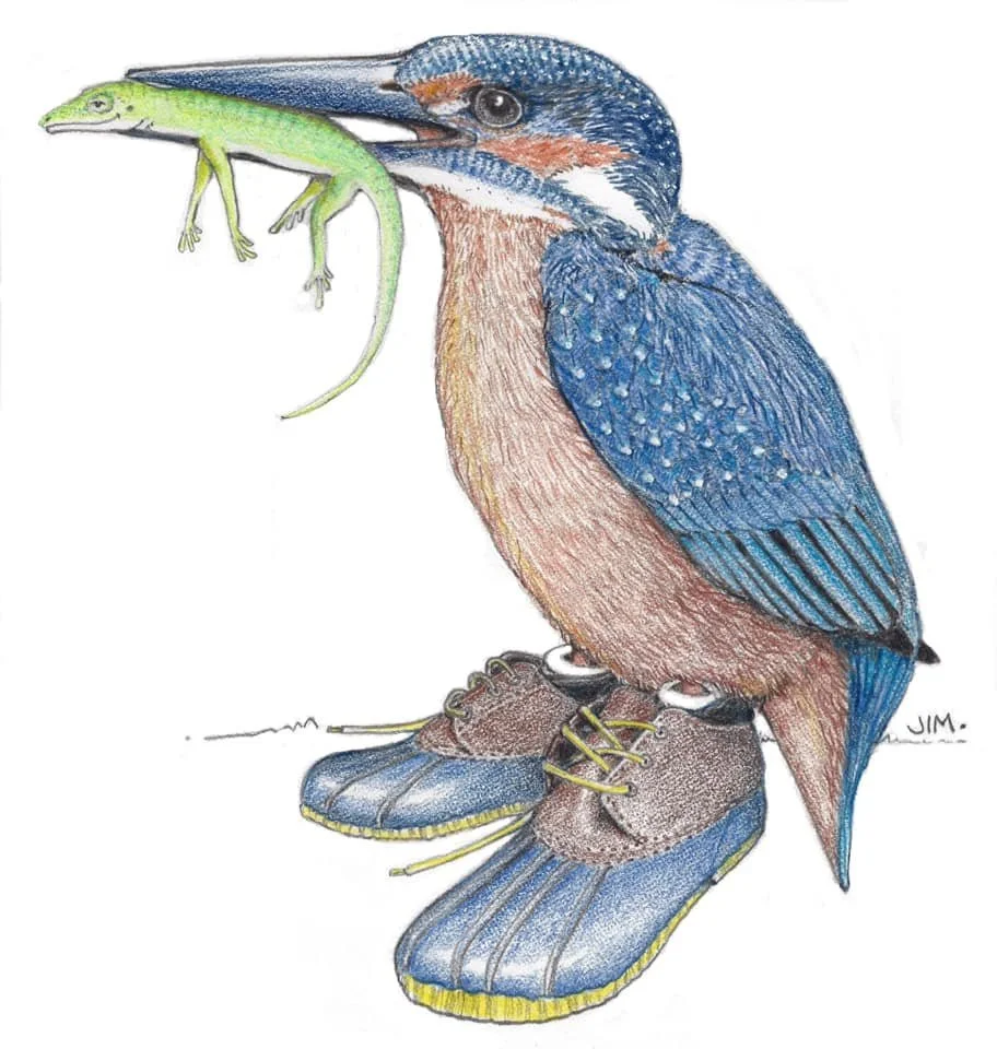 Kingfisher In Duck Shoes 4/12/2020