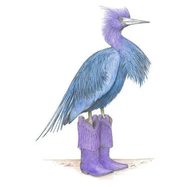 Little Blue Heron In Cowgirl Boots 8/8/2020