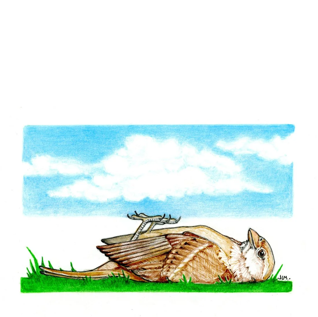Little Sparrow Lifts Up The Sky 1/22/2026