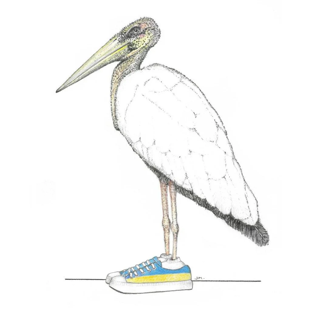 White Stork In Blue Sneakers 3/1/2022