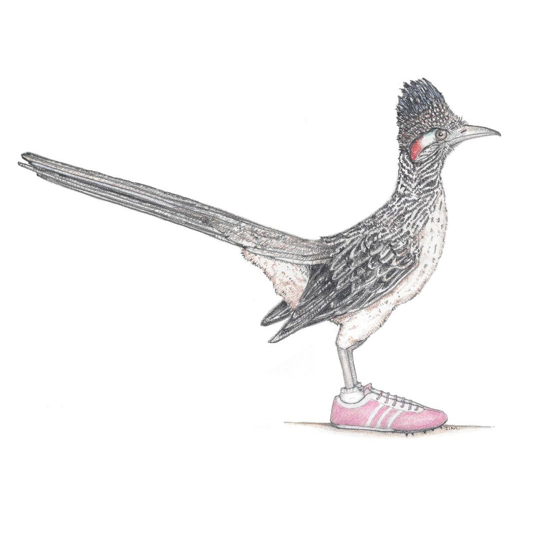 Roadrunner In Running Shoes 5/22/2021
