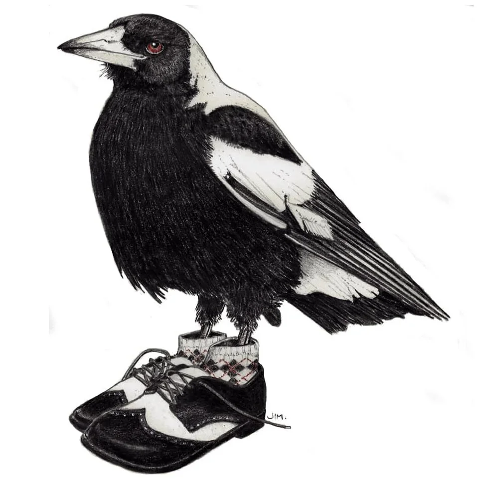 Magpie In Wingtips 6/7/2020