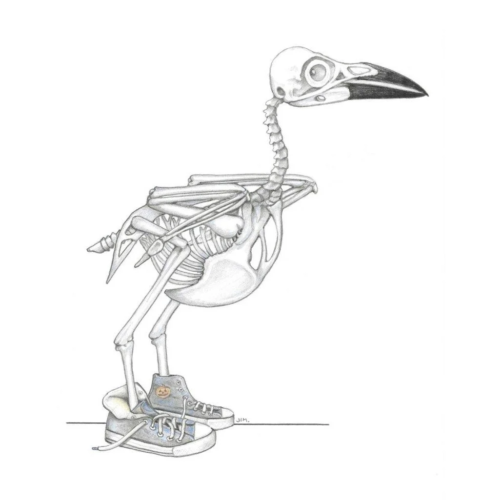 Crow Skeleton In High Tops 10/3/2022