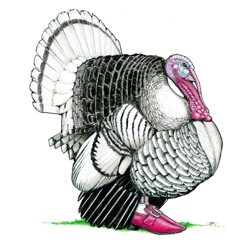 Crollwitzer Turkey In Buckle Shoes 11/22/2025