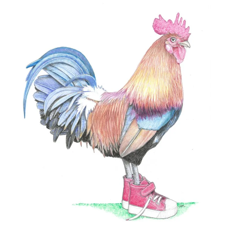 Rooster In Toddler Sneakers 11/3/2021